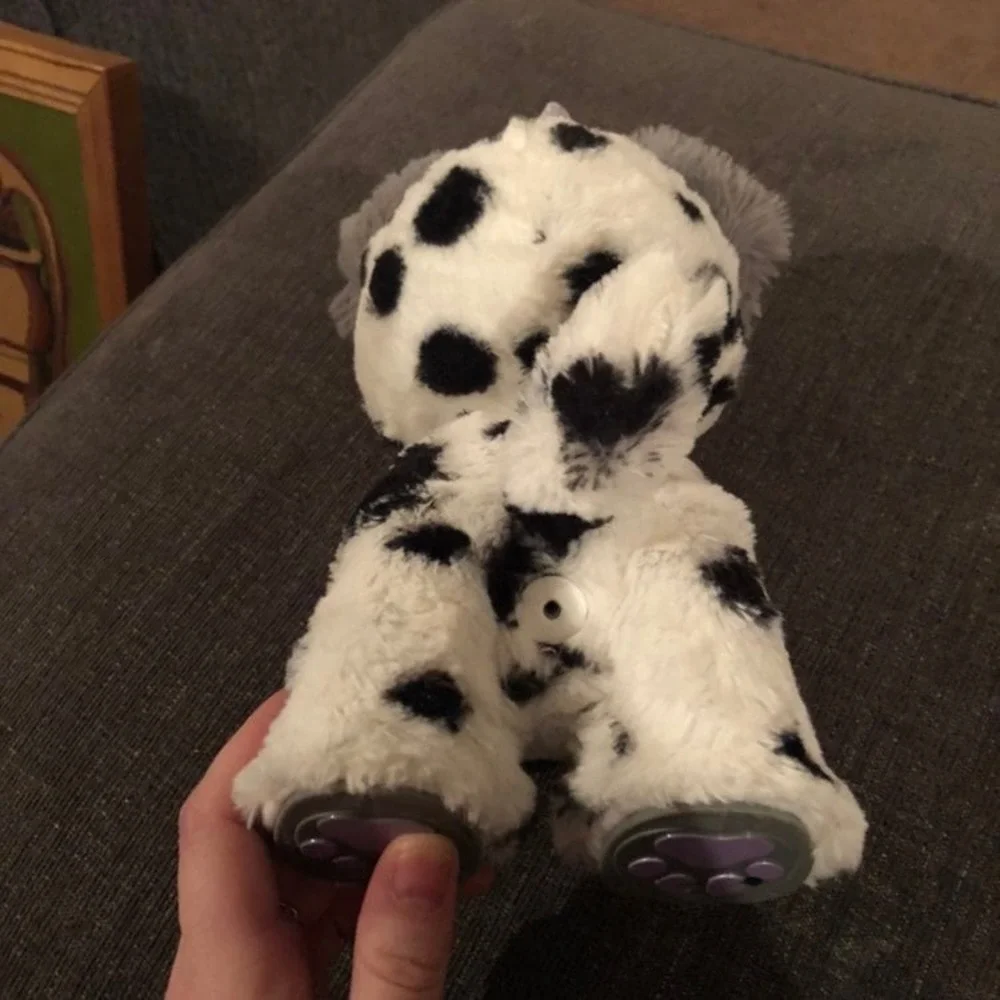N/A present pets